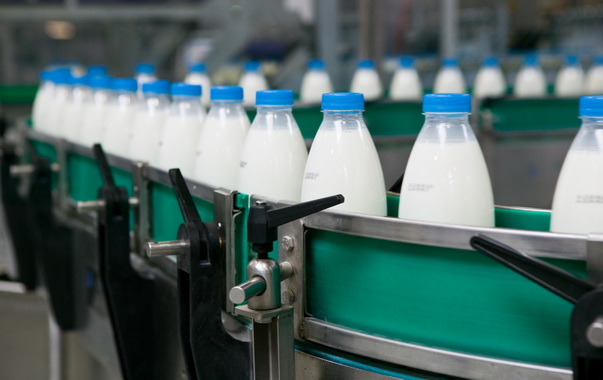 Dairy Plant