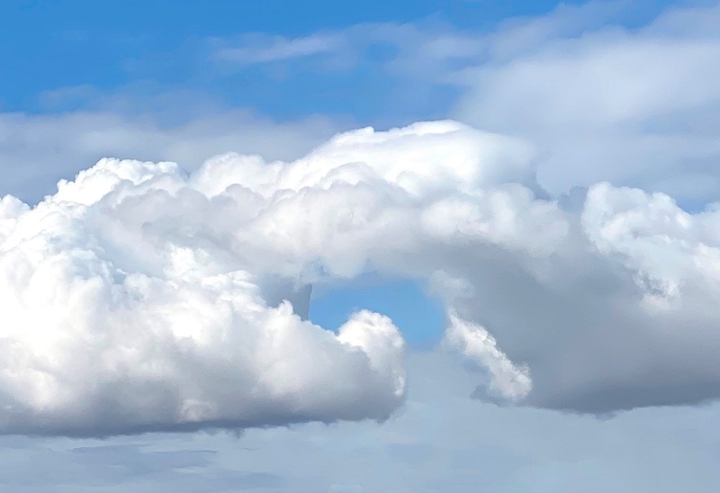 Трасферное окно для «Балтики» может стать окном надежды, а может и не стать