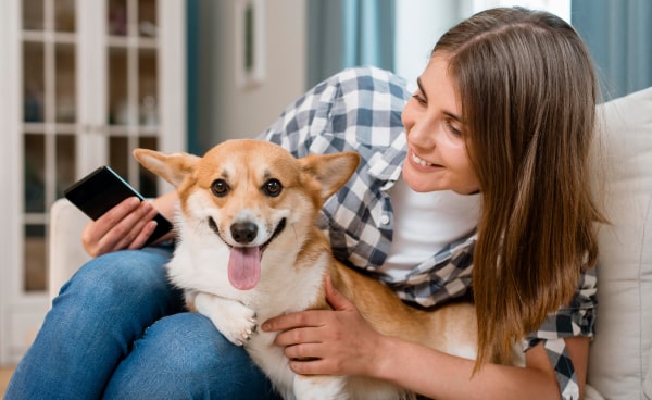 dog nanny 1