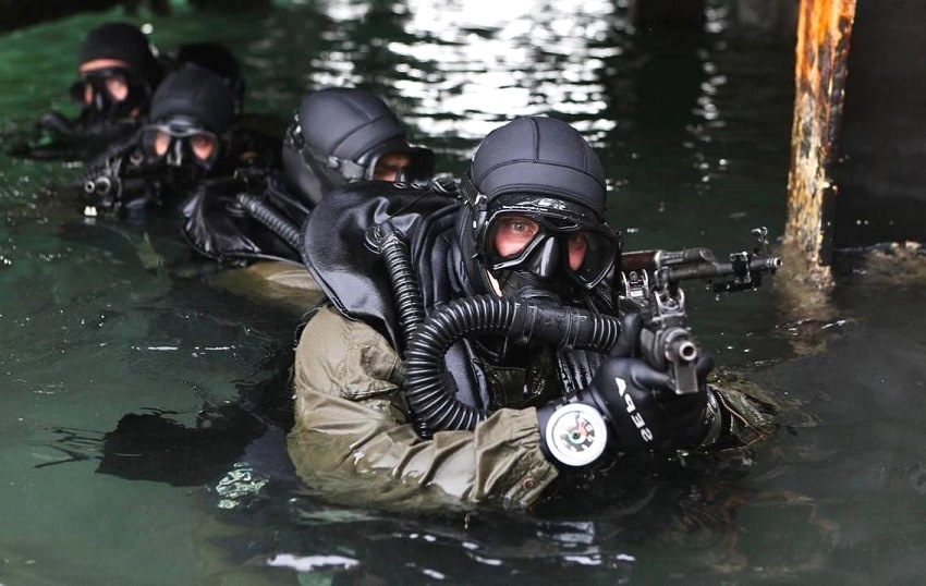 В пунктах базирования кораблей Балтийского флота искали подводных диверсантов