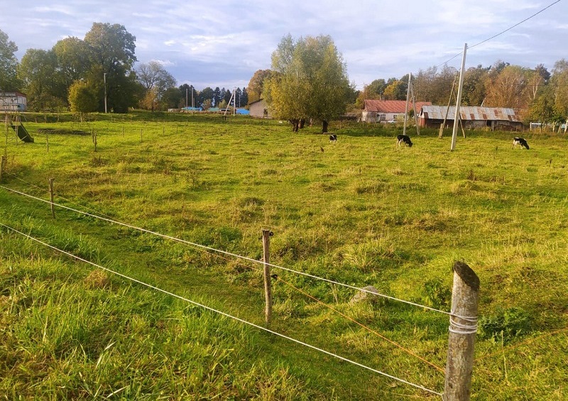 0000 pastux